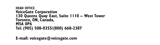 Voicegate corporation 
